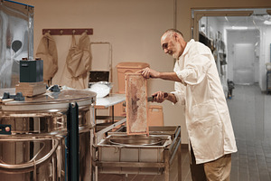 Beekeeper Processing Honeycomb in a, an Industrial Photo by Perpis