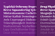 Gabriela, a Serif Font by Lechuga Type (Thumbnail 7 of 17)