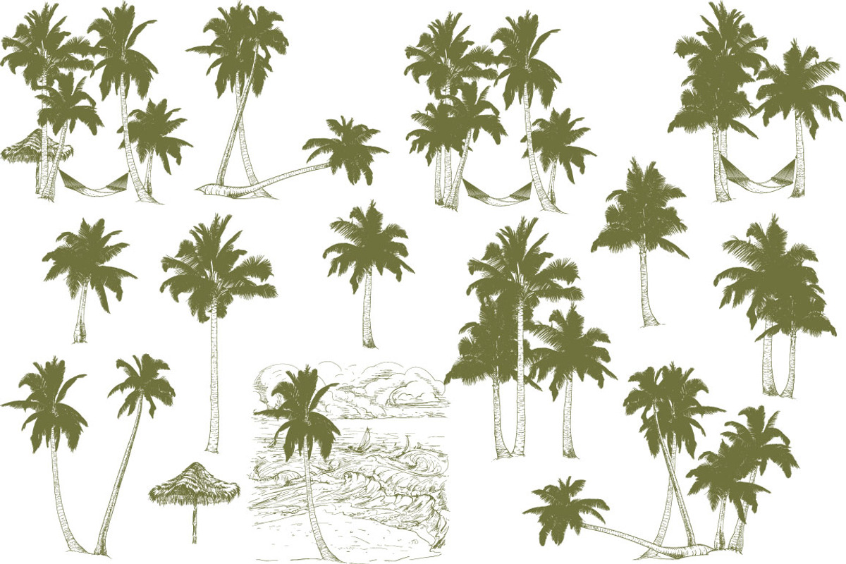 Palm tree collection (Vector), an Object Graphic by ArtOwl (Photo 4 of 10)
