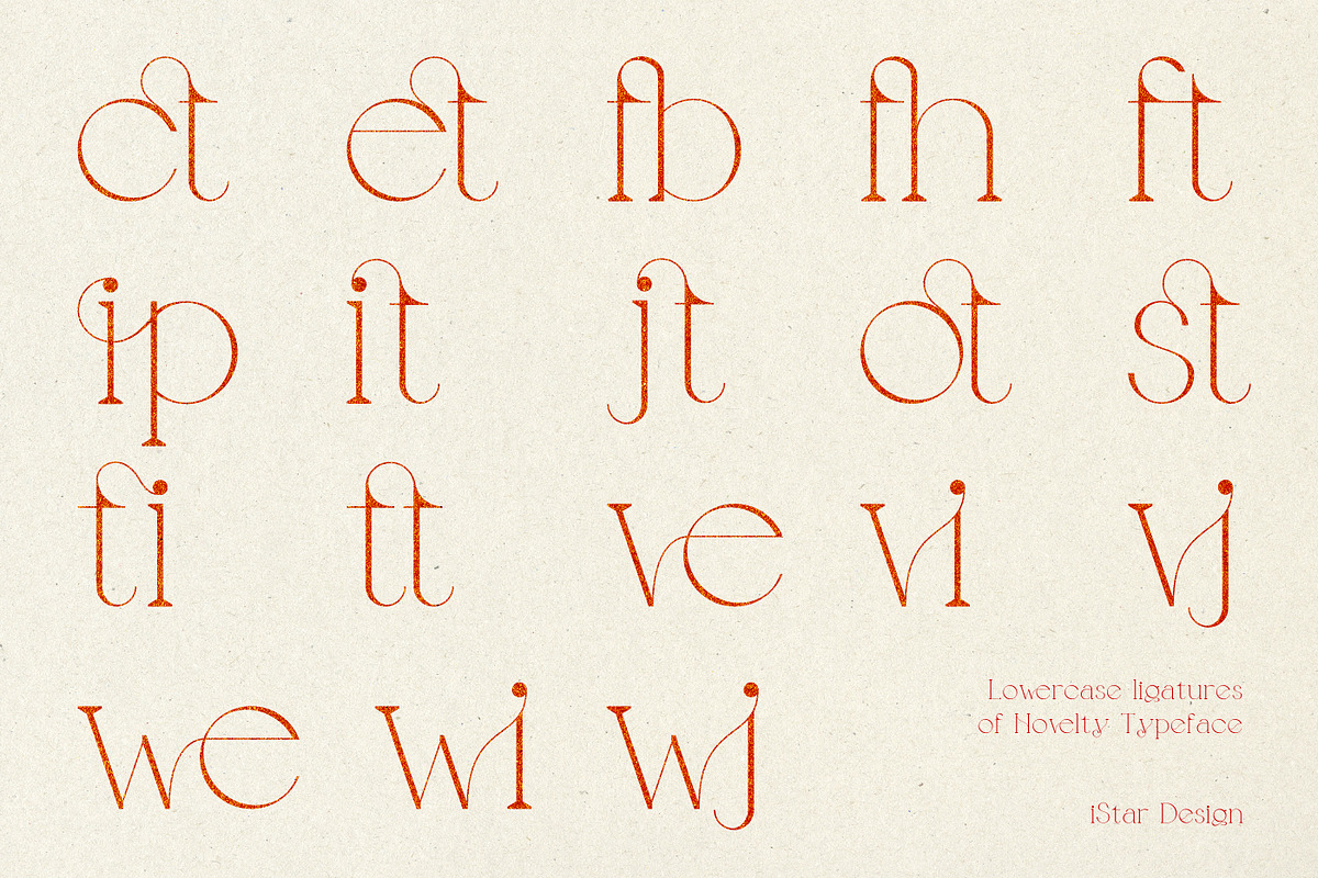 Novelty Serif Font, a Serif Font by iStar Design (Photo 13 of 14)
