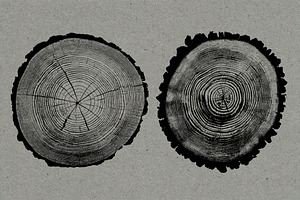 26 Large Tree Ring Textures