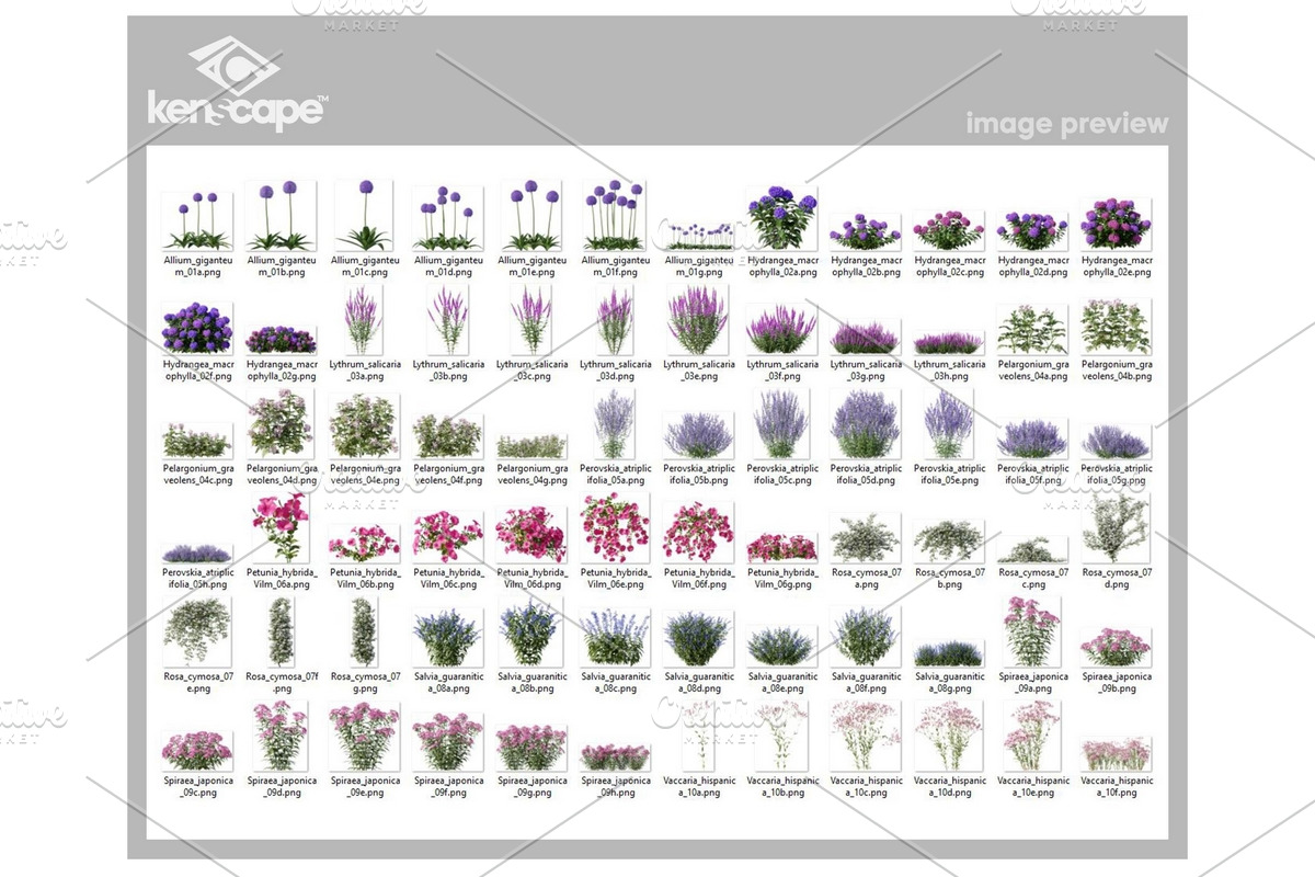 72 Assorted Flowers Photo Overlays, a Nature Photo by KenScape (Photo 3 of 3)