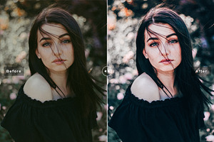 Cuckoo Pro Lightroom Presets