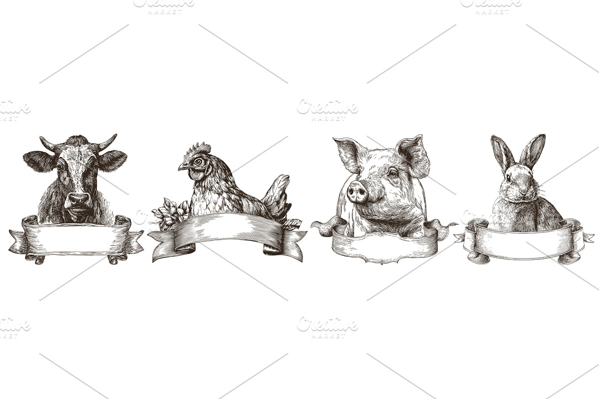 Farm animals ribbon labels. Domestic, an Animal Illustration by Stock-Smart-Start