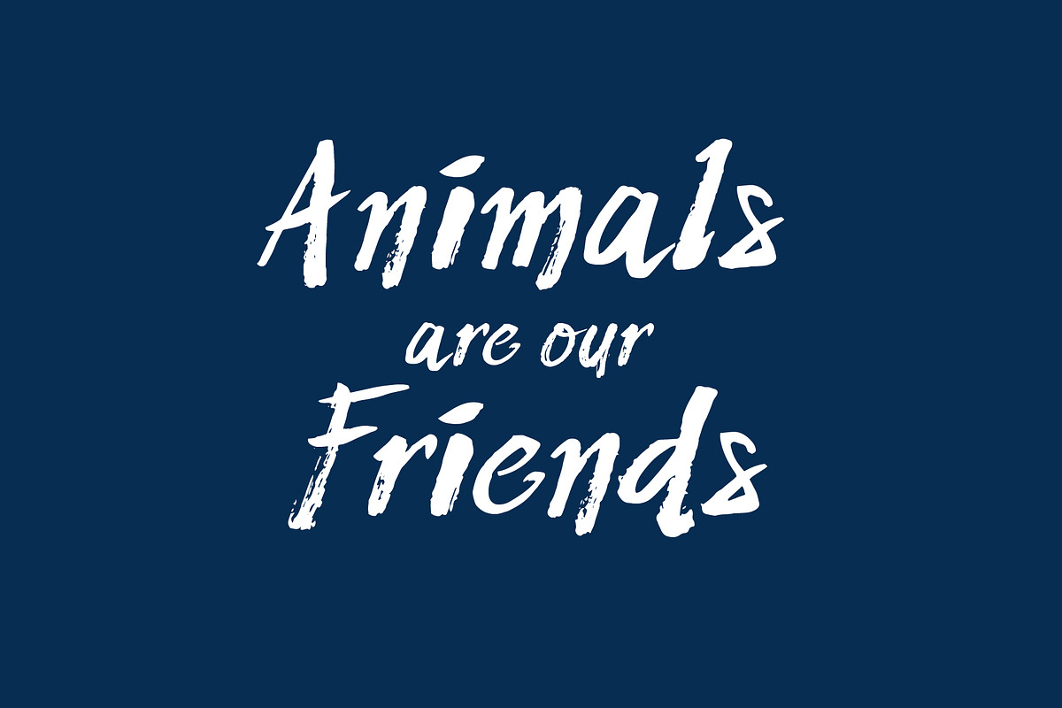 Nifty & Swifty - brush font, a Handwritten Font by Font Infusions (Photo 8 of 12)