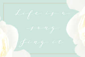 Joleni Modern Calligraphy Font