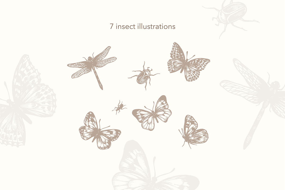 27 Vintage Botanical Illustrations, an Illustration by Anna Smirnova (Photo 4 of 12)