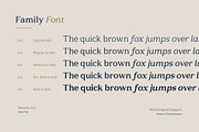 Qavena Arc - Residential Serif Font, a Serif Font by productype1 (Thumbnail 12 of 12)