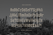 Archives Classic | Slab Serif Font, a Slab Serif Font by gracetype_studio (Thumbnail 10 of 12)