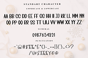 Midnight, a Serif Font by InermediaSTUDIO (Thumbnail 6 of 7)