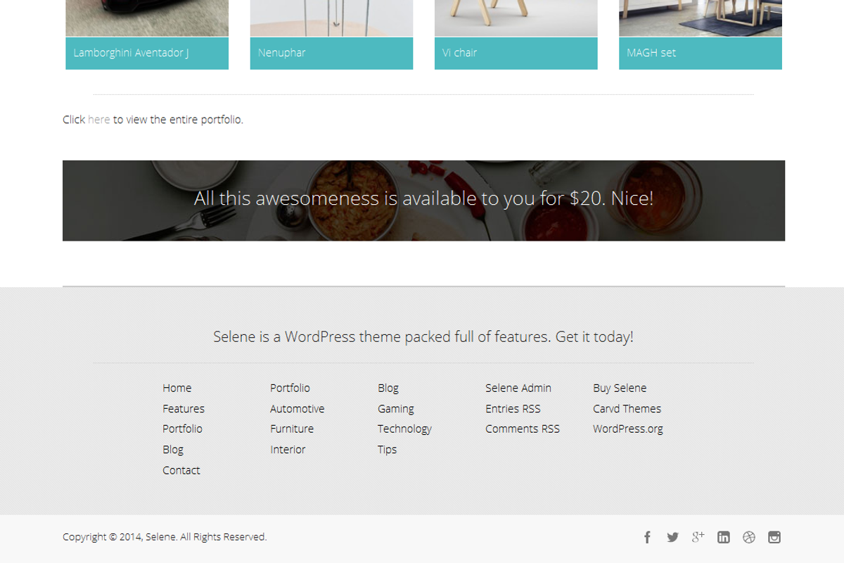 Selene - Responsive WordPress Theme, a WordPress Template by Carvd Themes (Photo 5 of 5)