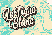 Slacker - a mellow brush script, a Script Font by Fenotype (Thumbnail 3 of 13)