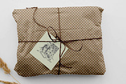 Vintage Christmas Illustrations Vol3, a Seasonal Illustration by Seaquint (Thumbnail 5 of 6)