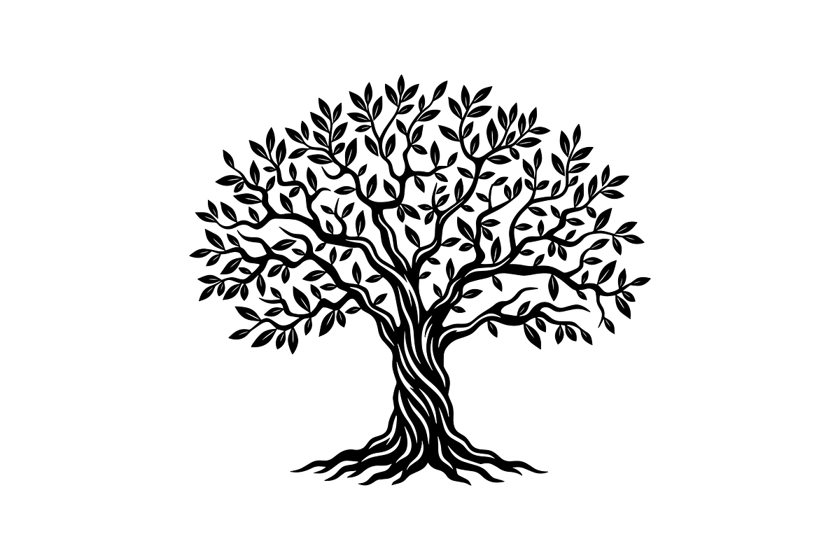 Elegant Olive Tree Silhouette, an Object Illustration by provector (Photo 1 of 3)