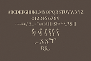 Motesar Font, a Serif Font by Onotype (Thumbnail 5 of 6)