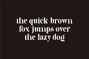 Galery - Elegant Modern Typeface, a Serif Font by suhadidesign (Thumbnail 6 of 15)