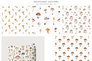 Mushrooms Watercolor Clipart, an Education Illustration by Ooh Lily (Thumbnail 4 of 8)