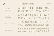 Thelion - Elegant Serif Font, a Serif Font by roomspace creative lab (Thumbnail 11 of 12)