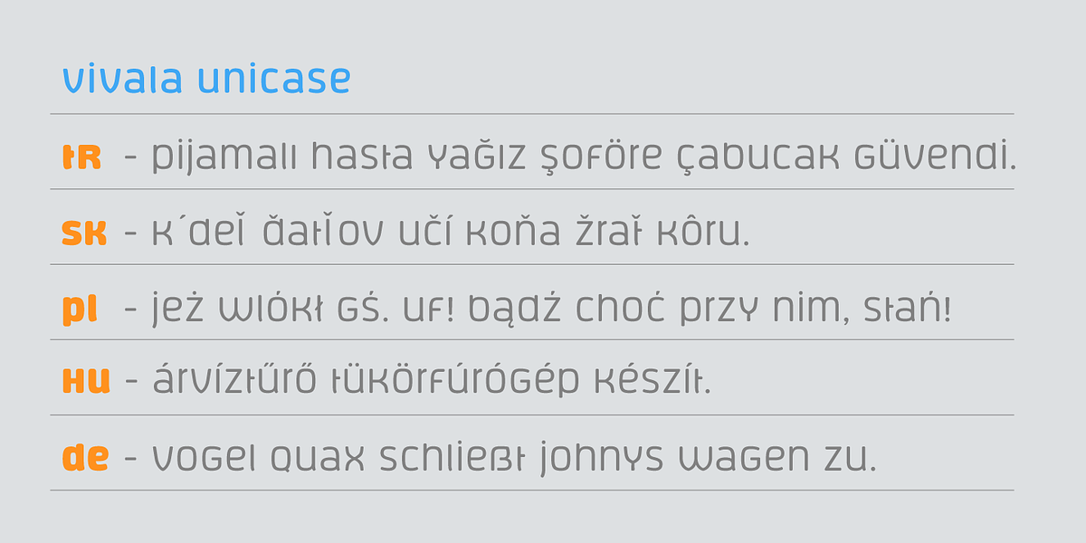 Vivala Unicase, a Sans Serif Font by VivalaType (Photo 4 of 7)