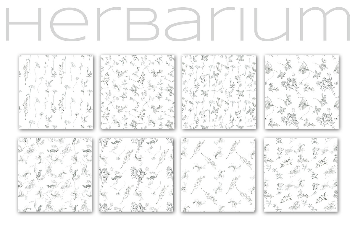 Herbarium. Pencil sketches, a Decorative Illustration by Love Watercolor Store (Photo 7 of 8)