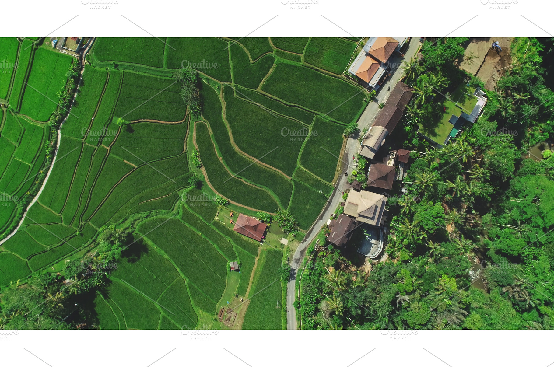 Aerial view of lush rice terraces, a Nature Photo by Goinyk