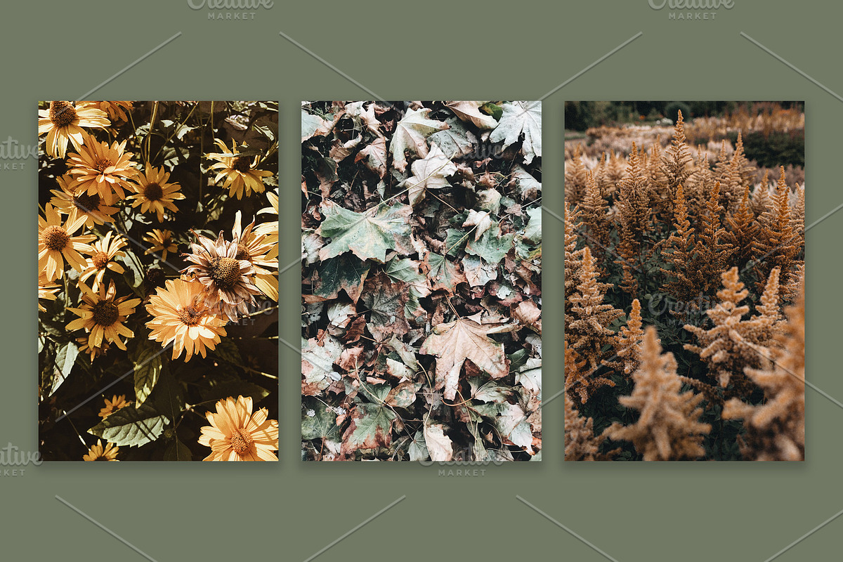 Fall Colors Collection, a Nature Photo by Floral Deco (Photo 5 of 5)