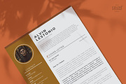 Profesional Resume / CV Template, a Resume Template by Celine Studio (Thumbnail 4 of 4)