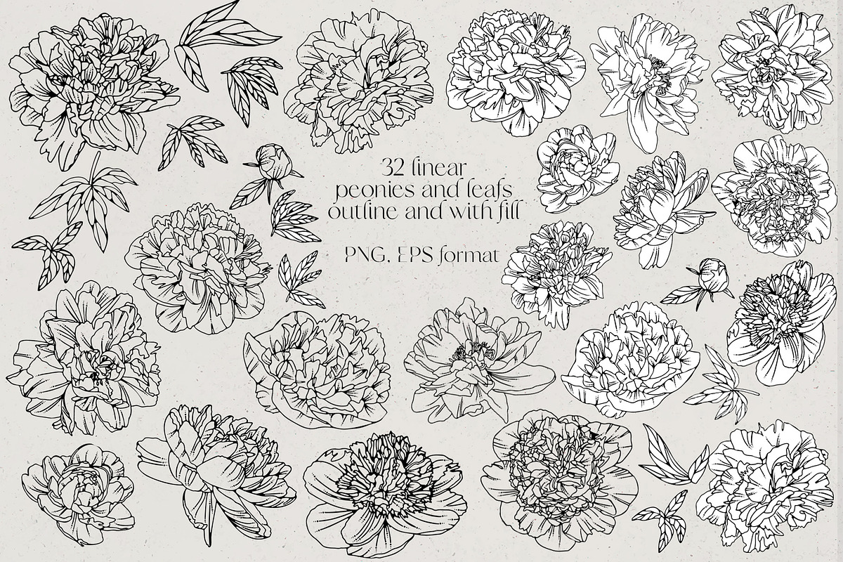 Female bodies and line art peonies, an Object Graphic by Vera●Suleimanova (Photo 12 of 17)