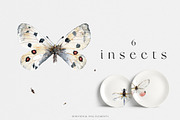Meadow Mood. Wildflower collection, an Illustration by Diana Askarova Art (Thumbnail 6 of 9)