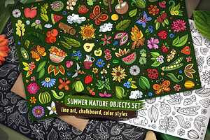 Summer Nature Objects & Symbols Set, a Seasonal Illustration by BALABOLKA