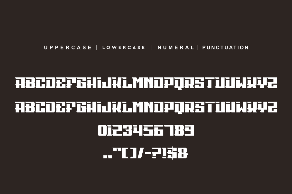 Race Nosmax, a Serif Font by alon kelakon (Photo 4 of 5)