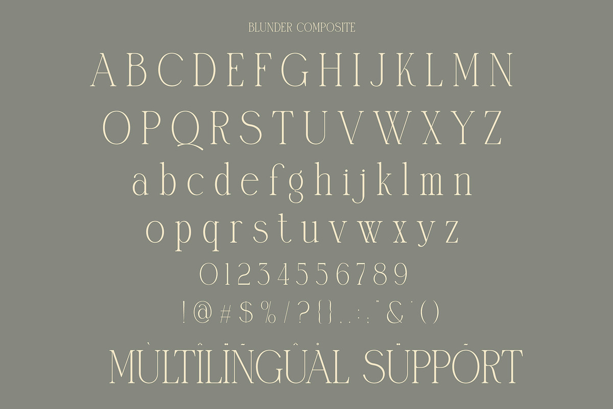 Blunder Modern Serif Typeface, a Serif Font by Alfinart (Photo 8 of 10)