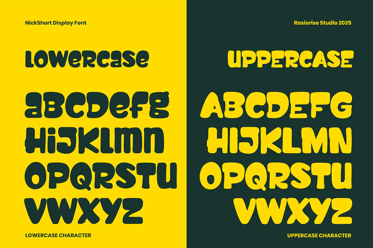 Nick Short a Display Font, a Handwritten Font by Rasiorise Studio (Photo 6 of 12)