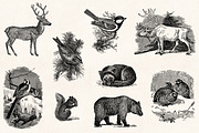 Winter Holidays - Vintage Engravings, a Decorative Illustration by Graphic Goods (Thumbnail 5 of 10)