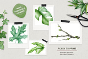 Botanical Greenery Clipart Set, a Decorative Illustration by AnitaPol (Thumbnail 3 of 13)