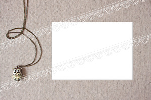 Mockup owl canvas 5 х 7