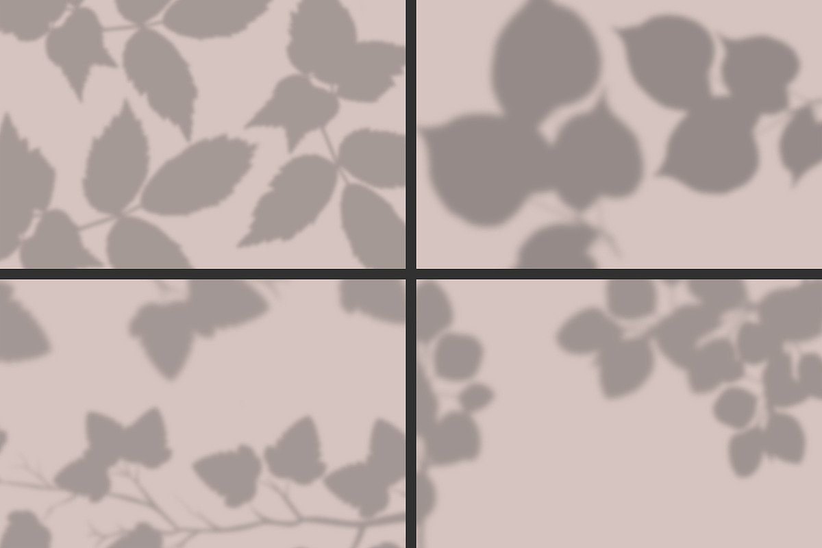 50 plants shadows, a Mockup by AnastasiyaOleynik (Photo 5 of 14)