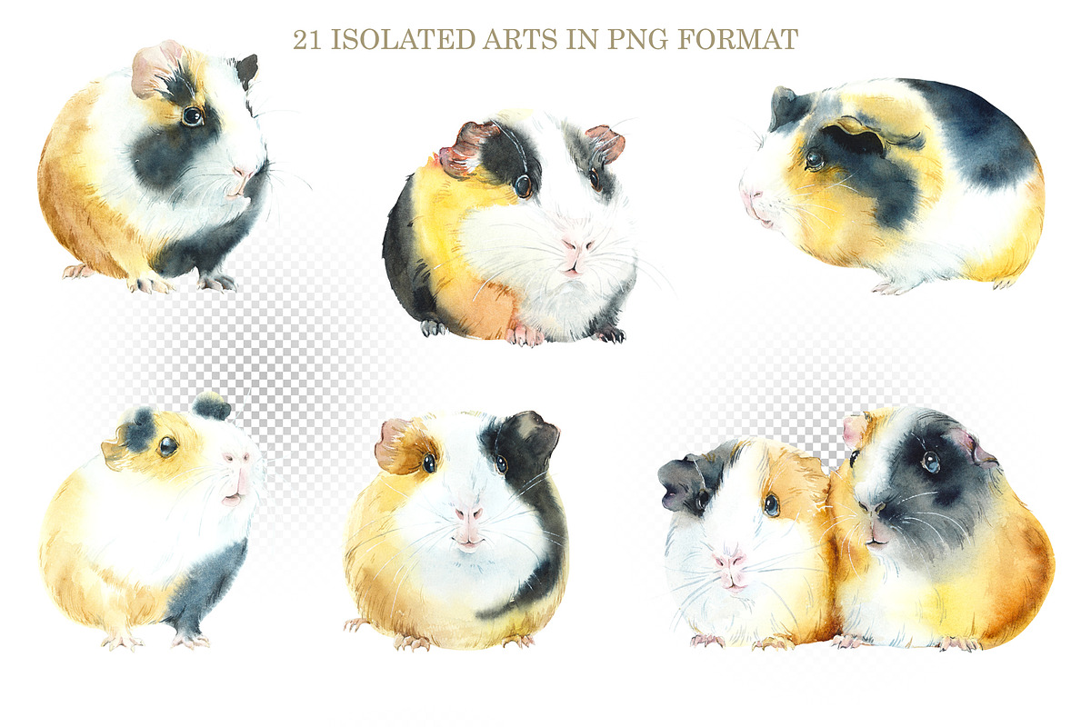 Watercolor Guinea Pigs, an Animal Illustration by Budogoshch (Photo 2 of 4)