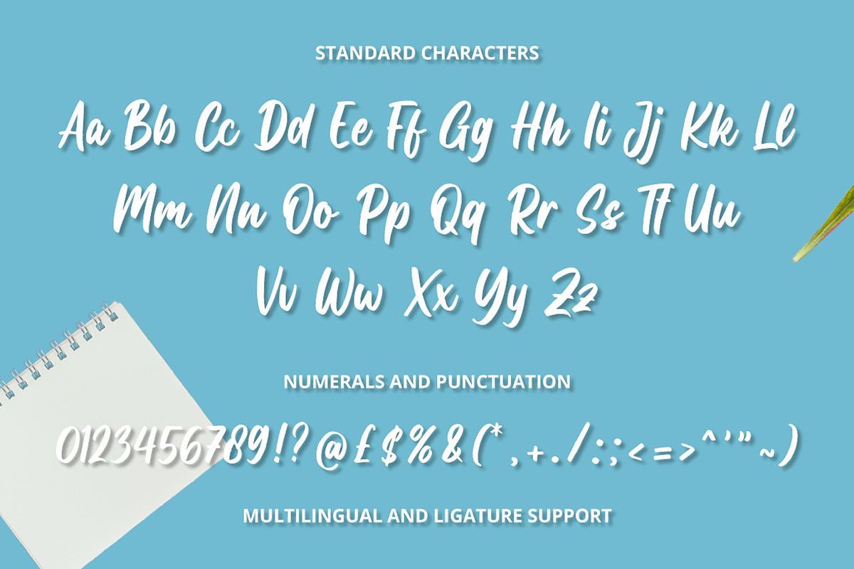 Script Font, a Script Font by Graphue (Photo 2 of 12)