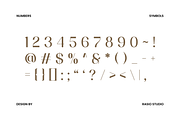 Vermica Modern Elegant Sans Font, a Sans Serif Font by Rasio Studio (Thumbnail 3 of 11)