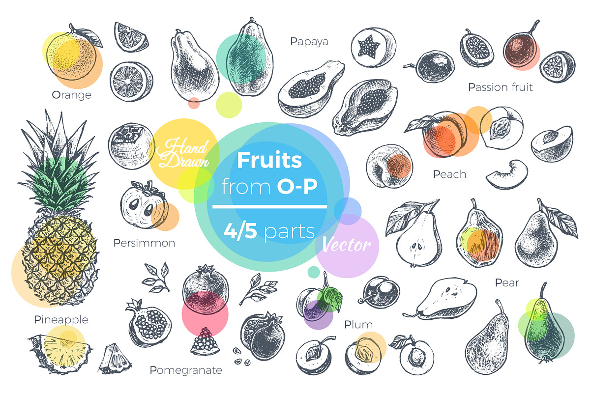 Fruits - hand drawn vector set, a Food Illustration by Margo Miller (Photo 11 of 25)