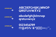 Northern Sans, a Sans Serif Font by Propertype (Thumbnail 2 of 10)