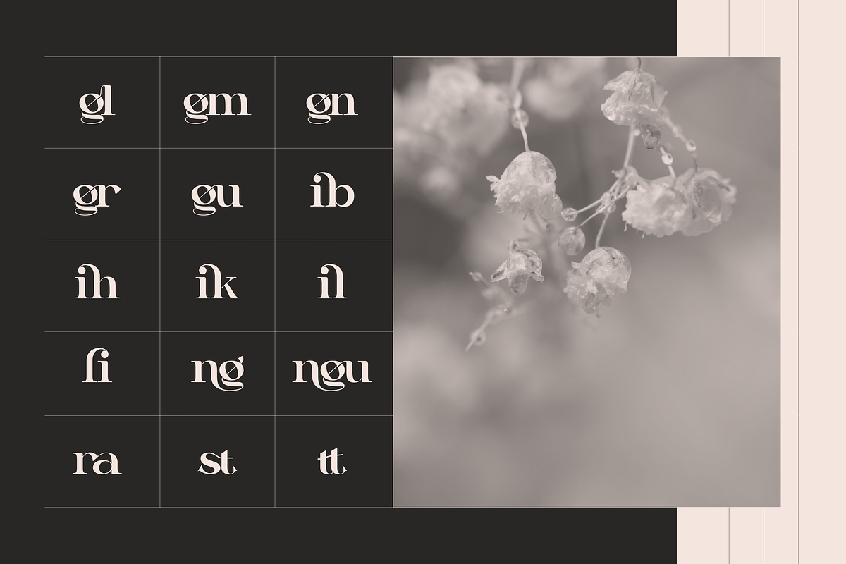 Aseno Modern - Ligatures Serif Font, a Serif Font by Nirmana Visual (Photo 9 of 17)