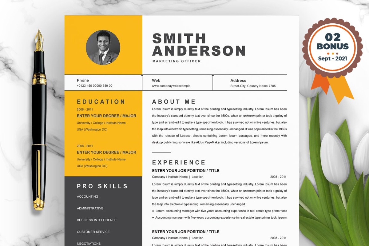 Resume/CV Bundle | 200+ for $29, a Resume Template by ResumeInventor (Photo 193 of 207)