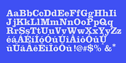 Clarendon Black, a Slab Serif Font by Wooden Type Fonts (Thumbnail 4 of 6)