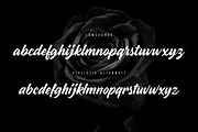 Madame - SUMMER SALE - 70% OFF!, a Handwritten Font by StereoType (Thumbnail 7 of 9)
