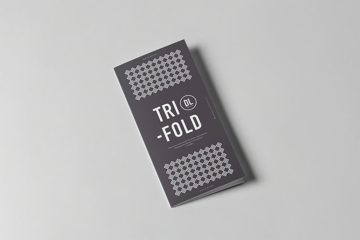 Tri-Fold DL Brochure Mock-up, an Advertising Mockup by zippypixelstudio (Photo 8 of 11)