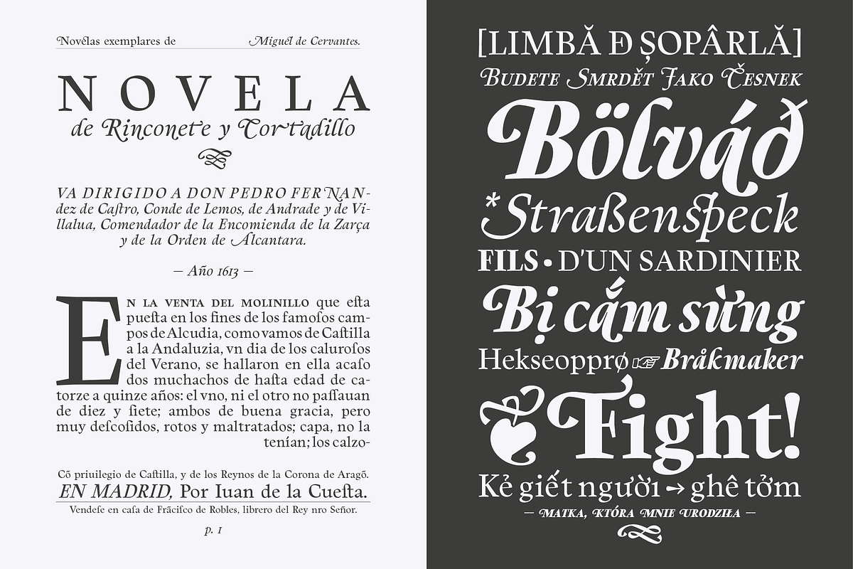 Berganza Font, a Serif Font by Cuchi, qué Tipo! Foundry (Photo 8 of 10)