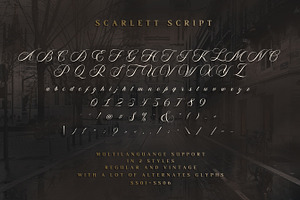 Scarlett Font Bundle