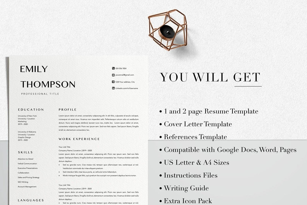 Resume Template Professional, a Resume Template by LucaTheme (Photo 8 of 10)